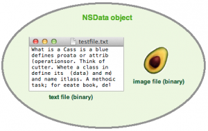 nsdata_object