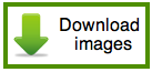 download-images-icon